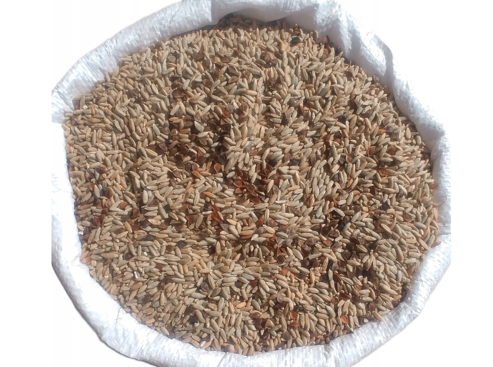 Mieszanka strączkowo - zbożowa 1 kg poplon /12/