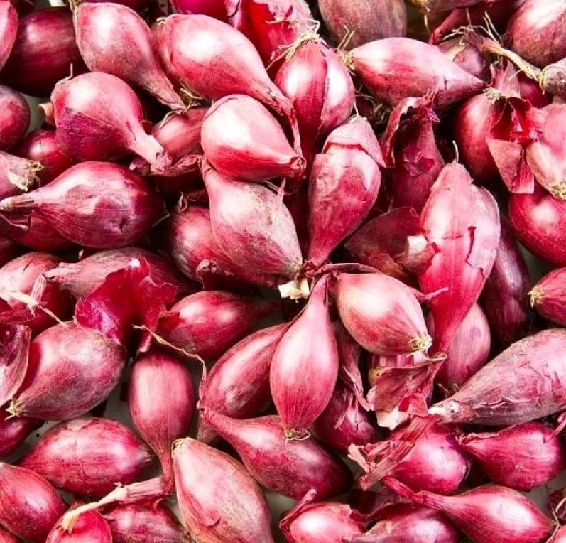 CEBULA DYMKA WENTA czerwona 250g /20/