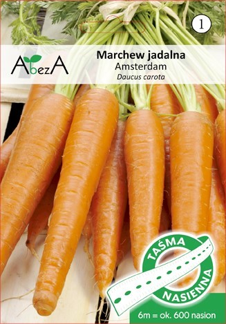 Marchew Amsterdam3-AmsterdamskaTOR6m/600nas TAŚMA