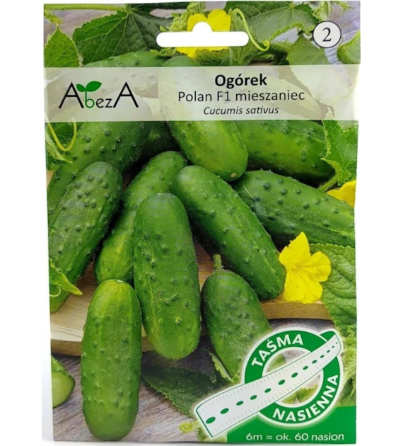Ogórek Polan 6m/60 nas - TAŚMA mieszaniec F1 ST