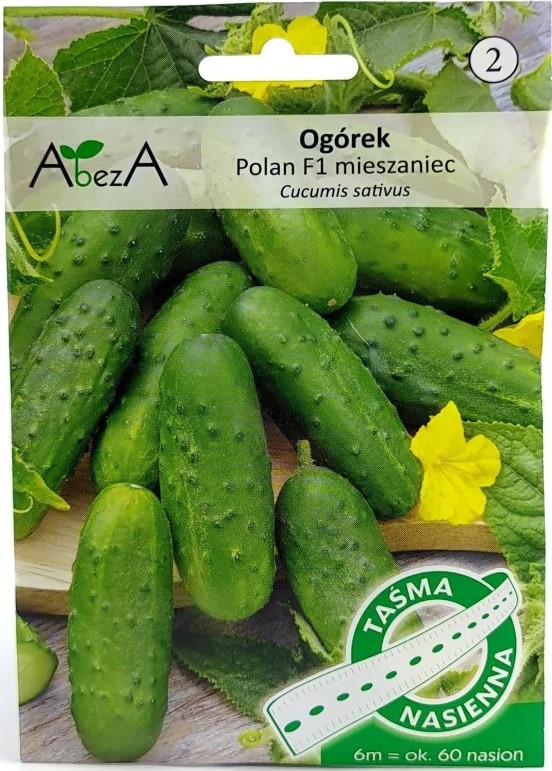 Ogórek Polan 6m/60 nas - TAŚMA mieszaniec F1 ST