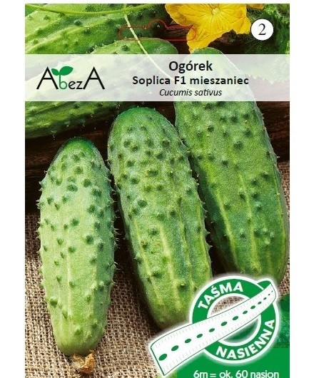 Ogórek Soplica 6m/60 nas - TAŚMA mieszaniec F1 ST
