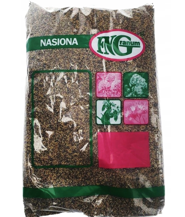 Koniczyna perska PASAT C/1 1KG