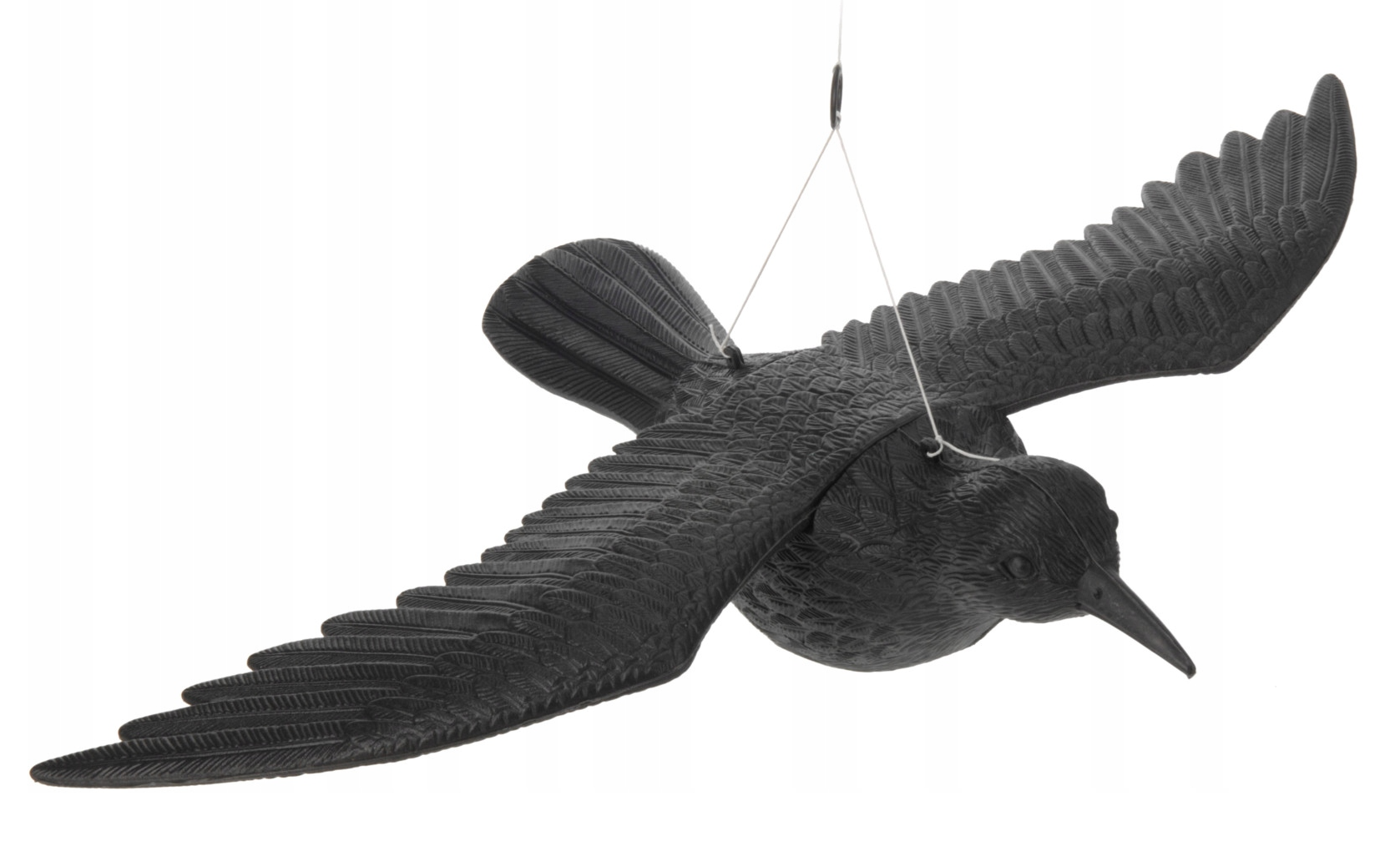 Kruk latający 58x45x11cm 8453