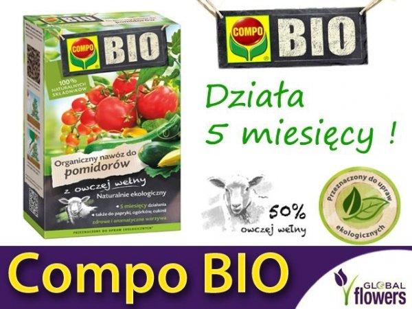 COMPO ECO Balance nawóz ekologiczny 50g