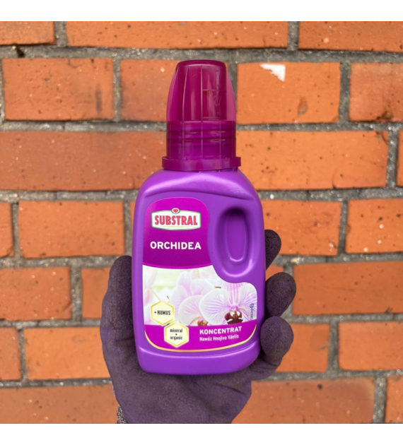Substral nawóz do orchidei 250ml /20/ S&S