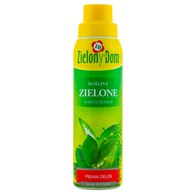 ZD Nawóz płynny do roślin zielonych 300ml /8/