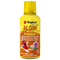 Tropical ALGIN pond 250ml 33135