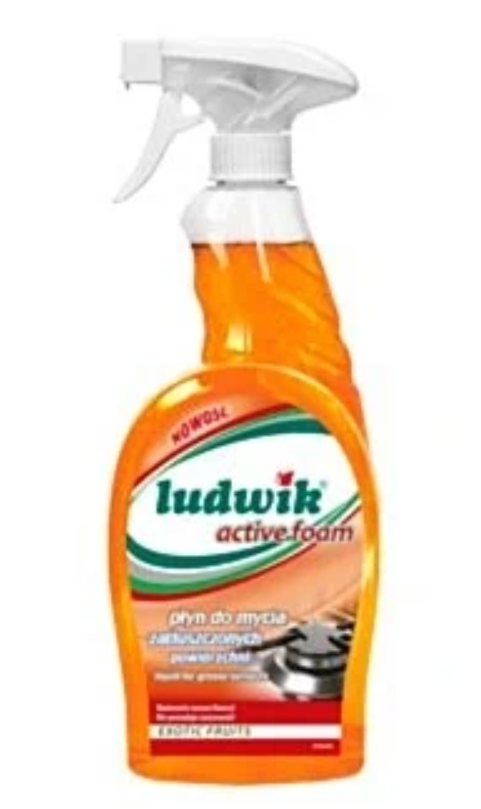 LUDWIK Do zatłuszczonych powierzchni 750ml /6/