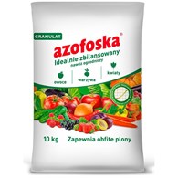Azofoska sypka 10kg worek /40/