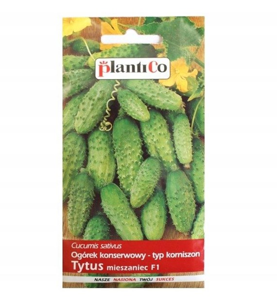 Ogórek Tytus F1 3g ST