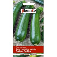 Cukinia Astra Polka 3g ST