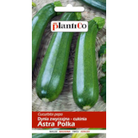 Cukinia Astra Polka 3g ST