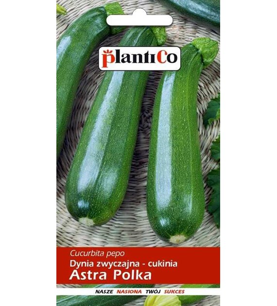 Cukinia Astra Polka 3g ST