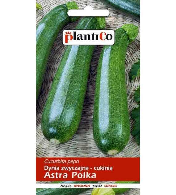 Cukinia Astra Polka 3g ST