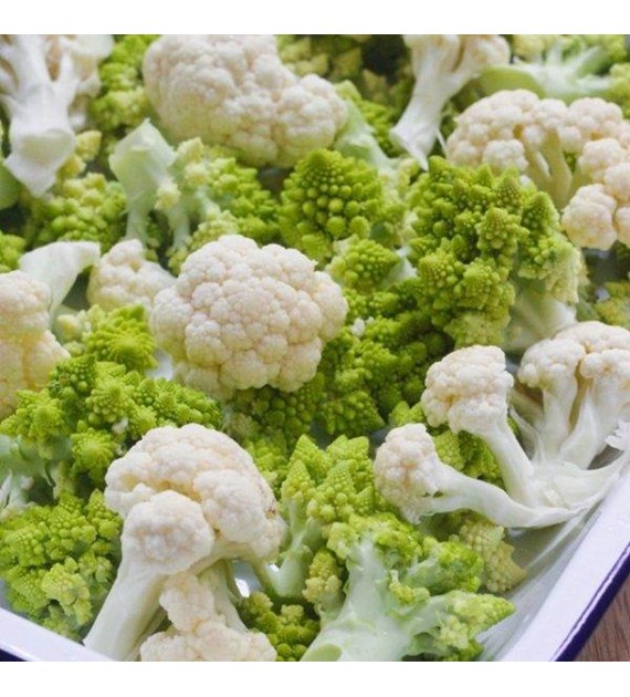 Kalafior Romanesco 0,2g