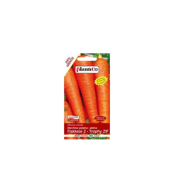 Marchew jadalna Flakkese 2 - Trophy ZIF 6g