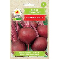 Burak Czerwona Kula 12G ST
