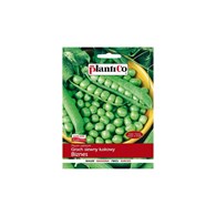 Groch Łuskowy Biznes 40 g ST