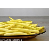 Fasola szparagowa karłowa żółta Elektra 40+8g