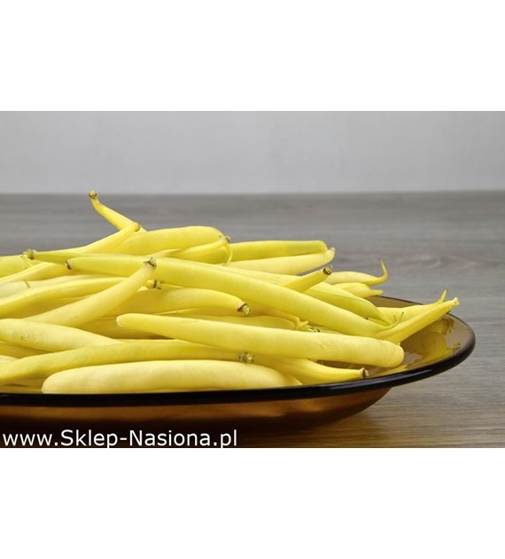 Fasola szparagowa karłowa żółta Elektra 40+8g