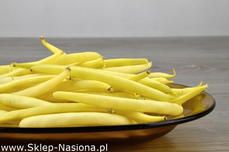 Fasola szparagowa karłowa żółta Elektra 40+8g