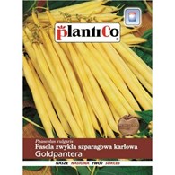 Fasola Goldpantera żółta szpar. 40g