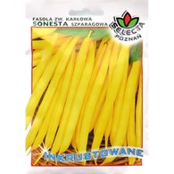 Fasola zw. karłowa Sonesta 40g ST