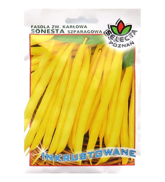 Fasola zw. karłowa Sonesta 40g ST