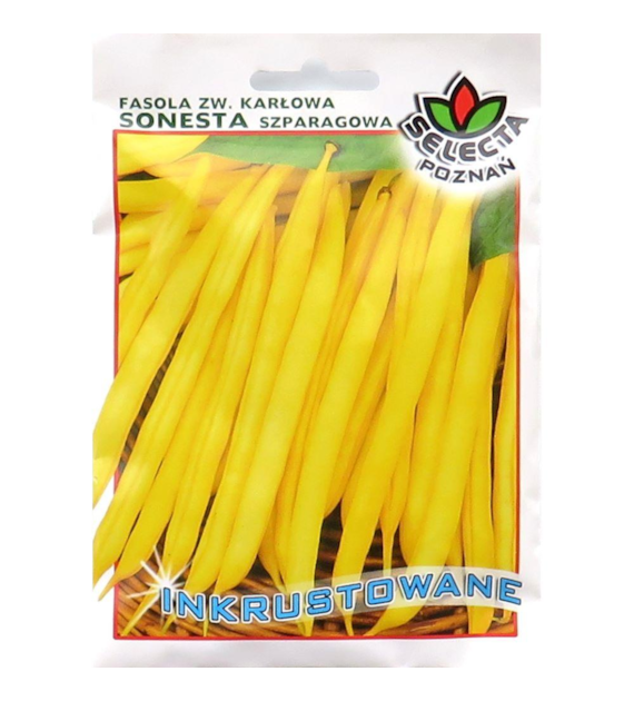 Fasola zw. karłowa Sonesta 40g ST