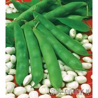 Fasola na suche nasiona Eureka 50g