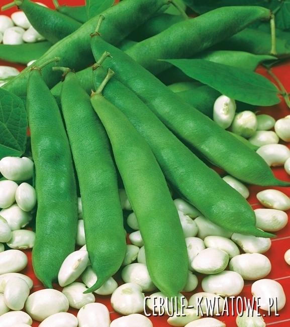 Fasola na suche nasiona Eureka 50g
