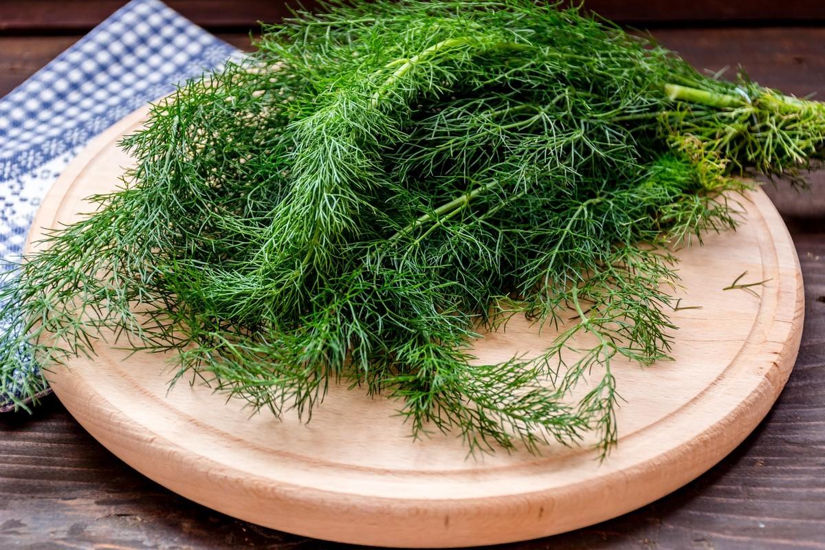 Koper ogrodowy Kozak 6g