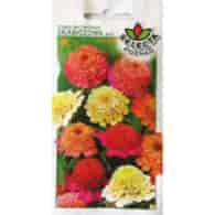 Cynia wytworna daliowa skabiozowa mix 1g