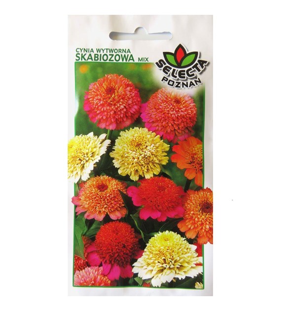 Cynia wytworna daliowa skabiozowa mix 1g