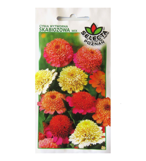 Cynia wytworna daliowa skabiozowa mix 1g