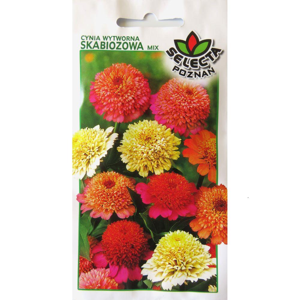 Cynia wytworna daliowa skabiozowa mix 1g
