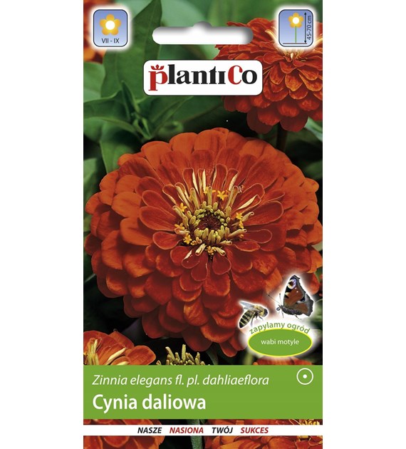 Cynia wytworna daliowa cynobrowa 1g