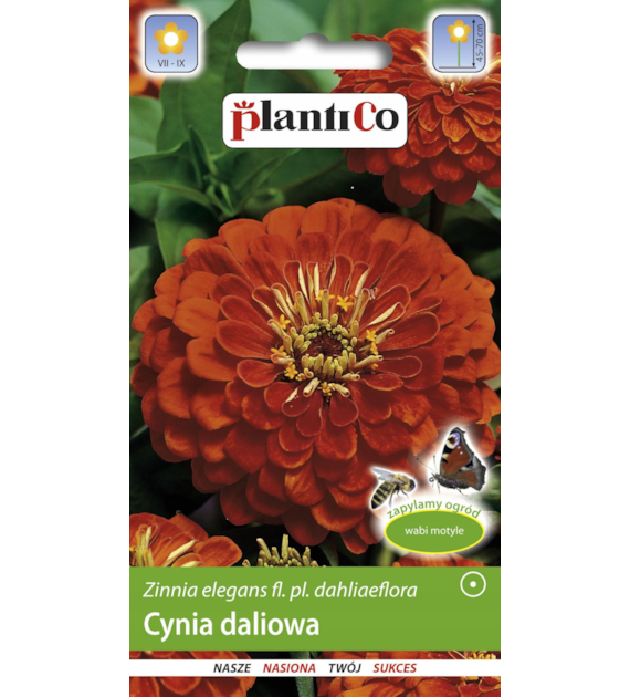 Cynia wytworna daliowa cynobrowa 1g
