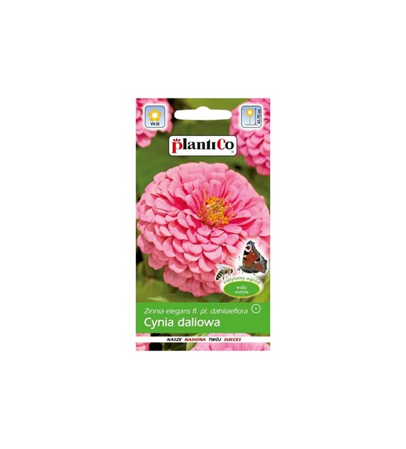 Cynia wytworna daliowa różowa 1g