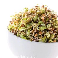 Nasiona na kiełki Mix Fitness 40g