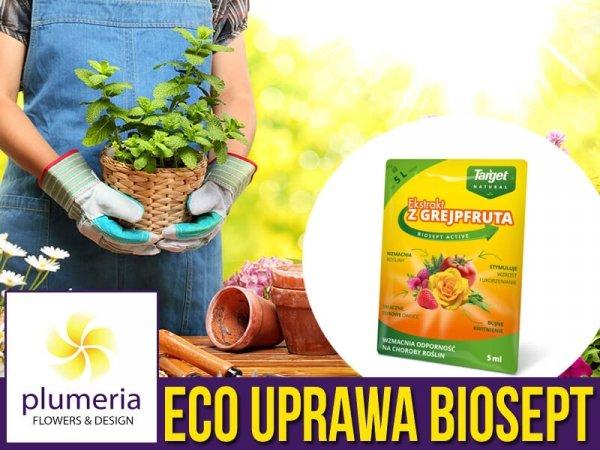 TARGET Biosept Activ ekstrakt grejfrut 750ml /14/