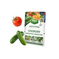 TARGET Lecicrop lecytyna choroby warz. i ow. 25ml