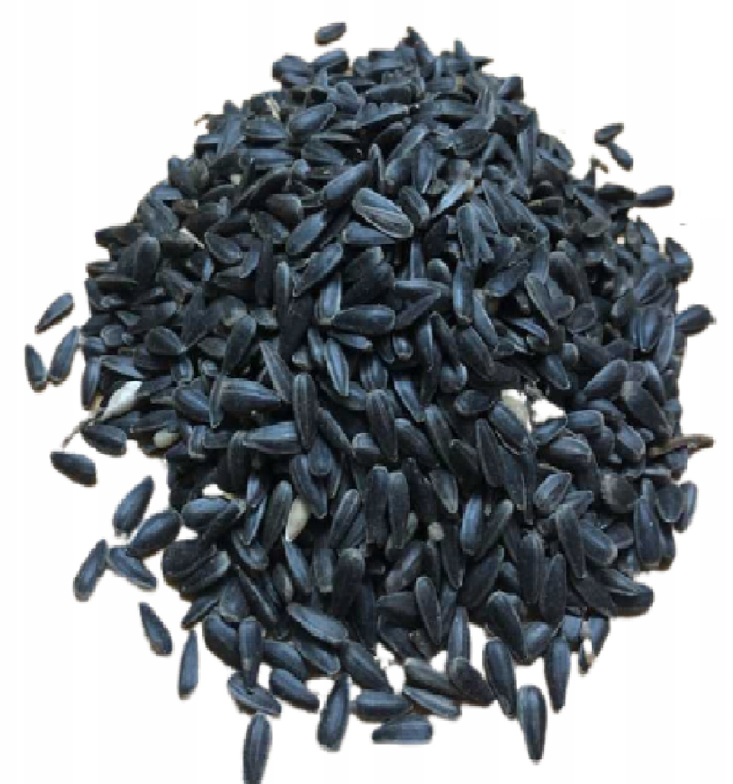 Słonecznik czarny dla ptaków 5kg