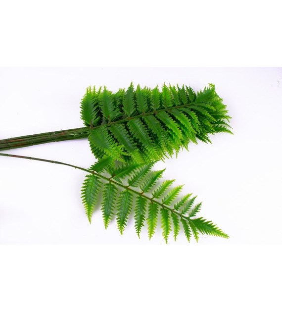 AGR nawóz do paproci 0,35l /12/