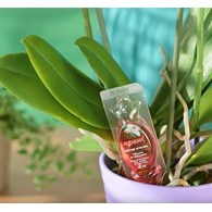 AGR ORCHID STRONG - do storcz.5x30ml /7/