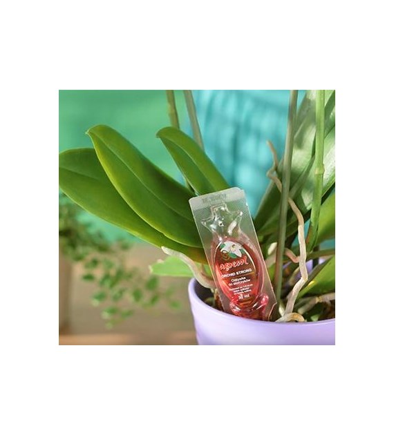 AGR ORCHID STRONG - do storcz.5x30ml /7/