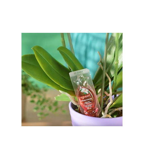 AGR ORCHID STRONG - do storcz.5x30ml /7/