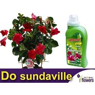 AGR Mineral Żel do Roślin kwitnących 0,25l