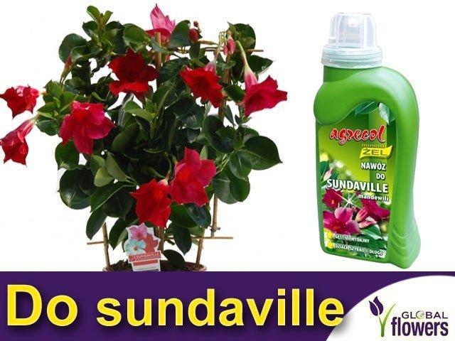 AGR Mineral Żel do Roślin kwitnących 0,25l